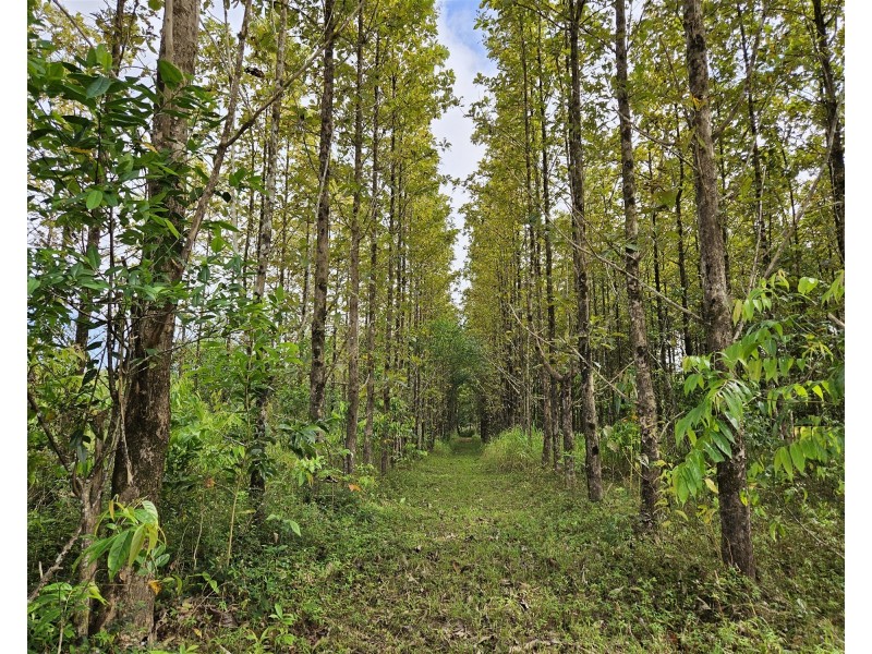 Lot 18 Camarlinghi Road, Garradunga QLD 4860