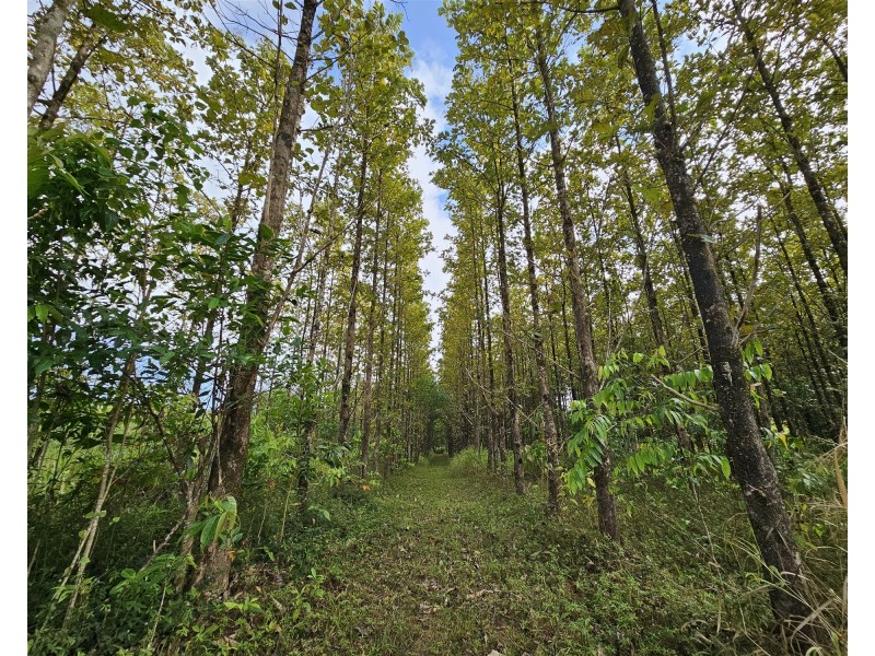 Lot 18 Camarlinghi Road, Garradunga QLD 4860