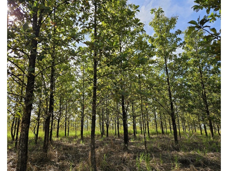 Lot 18 Camarlinghi Road, Garradunga QLD 4860