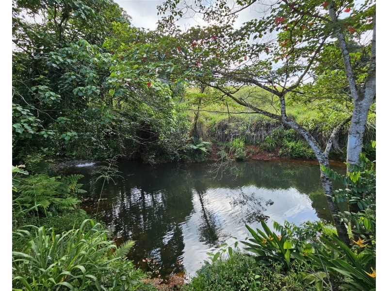 Lot 18 Camarlinghi Road, Garradunga QLD 4860