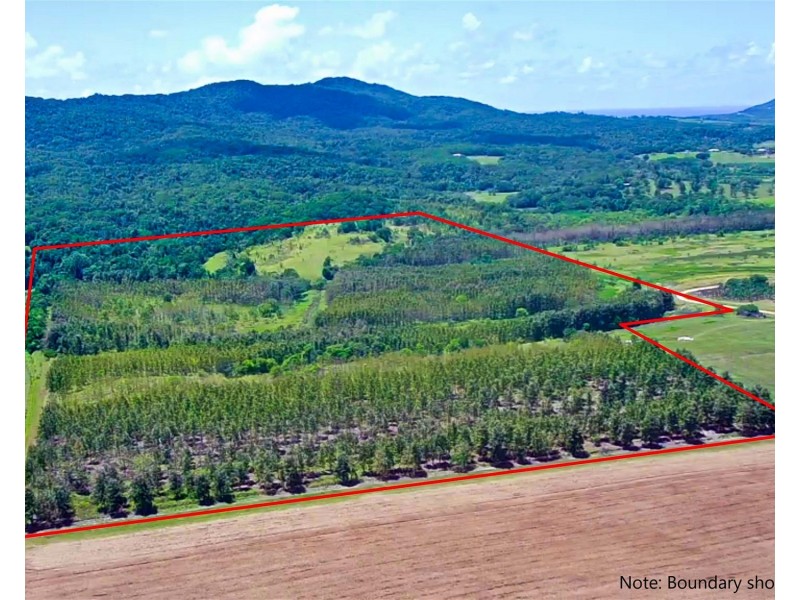 Lot 18 Camarlinghi Road, Garradunga QLD 4860