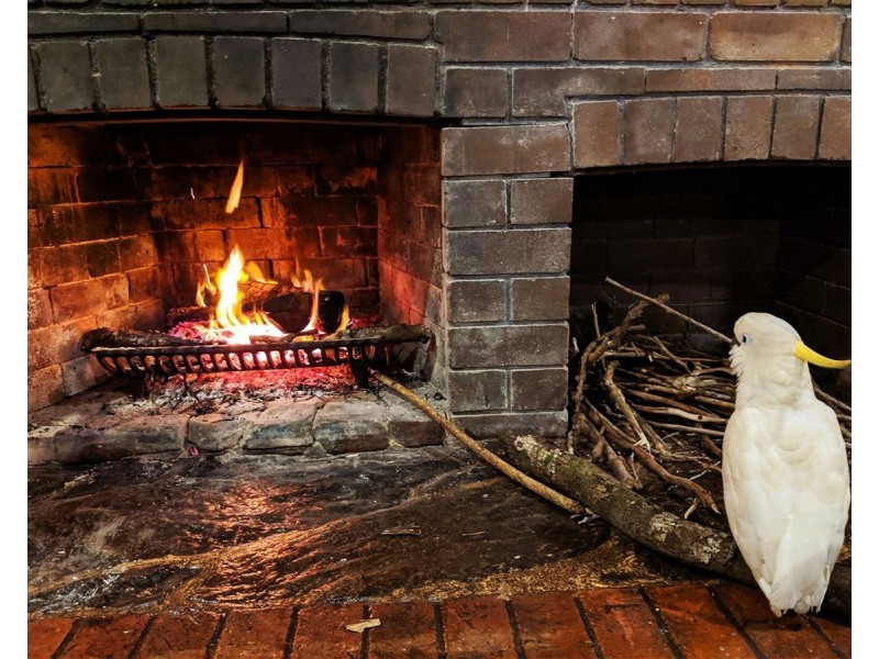 250 Cedar Park Road, Koah QLD 4881