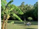250 Cedar Park Road, Koah QLD 4881