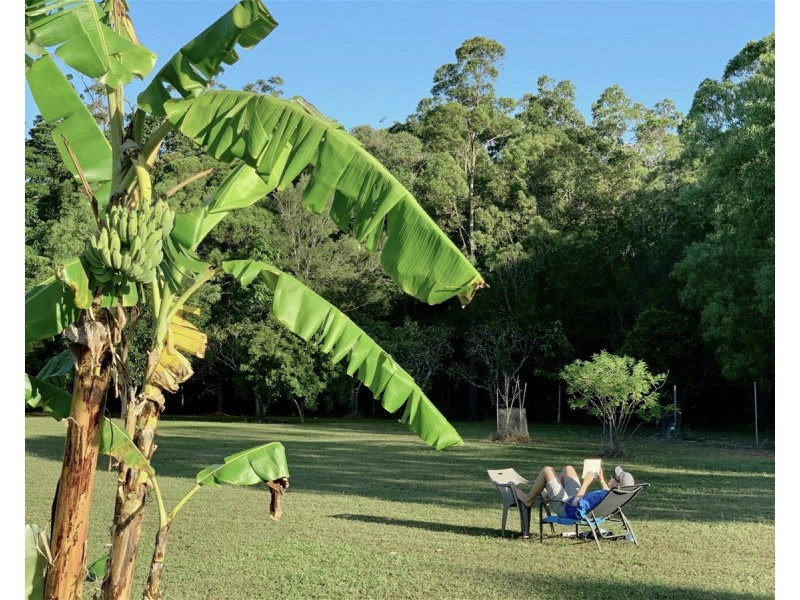 250 Cedar Park Road, Koah QLD 4881