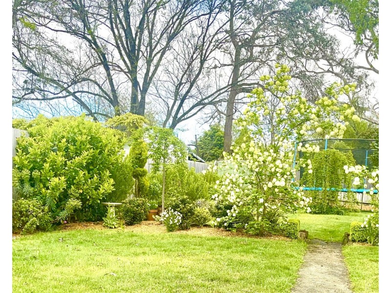 46 Govett Street, Katoomba NSW 2780