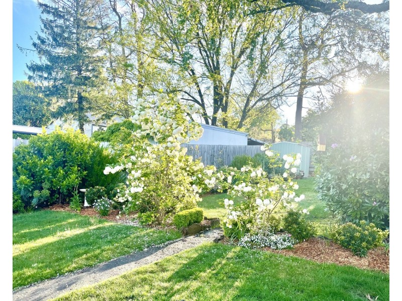 46 Govett Street, Katoomba NSW 2780