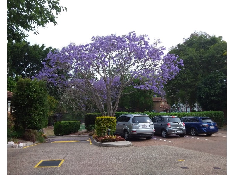 4/22 Thurlow Street, Newmarket QLD 4051