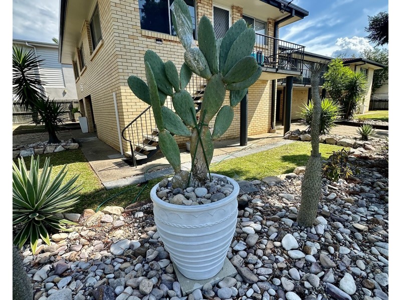 158 Riding Road, Balmoral QLD 4171