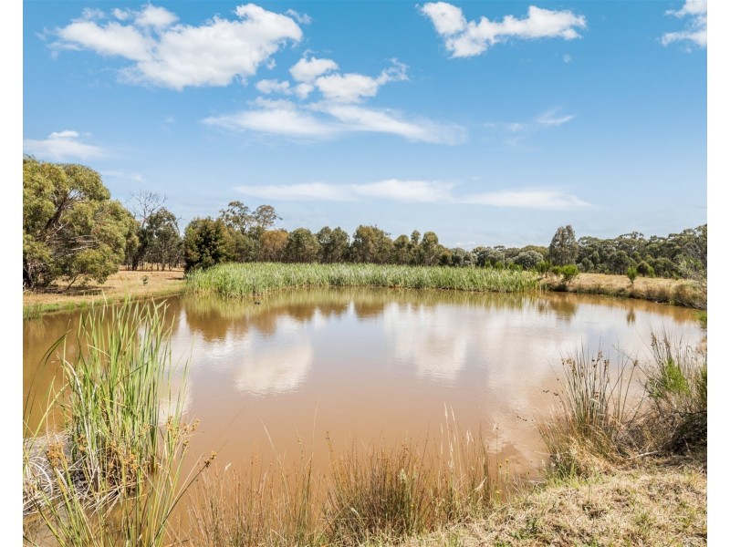 250 Seymour-Avenel Road, Seymour VIC 3660