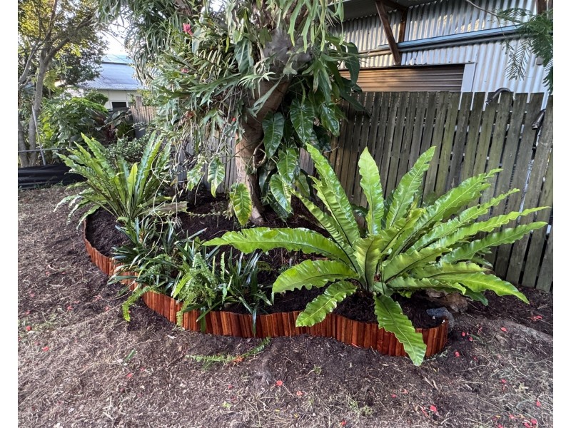 54 Kanangra Street, Stafford QLD 4053