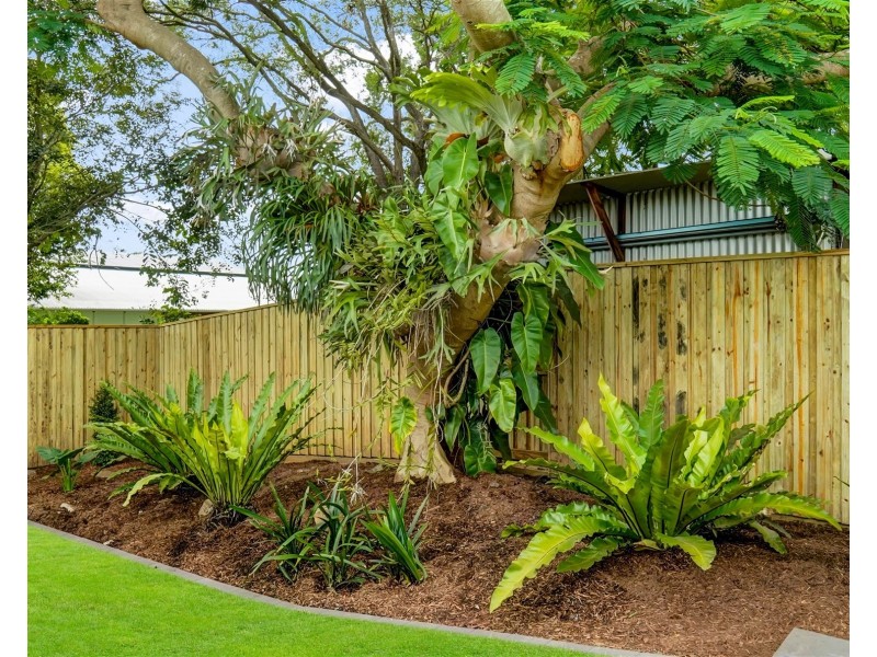 54 Kanangra Street, Stafford QLD 4053