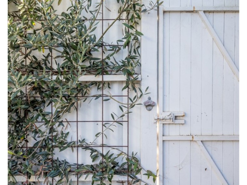 2 Little Lyell Street, South Melbourne VIC 3205