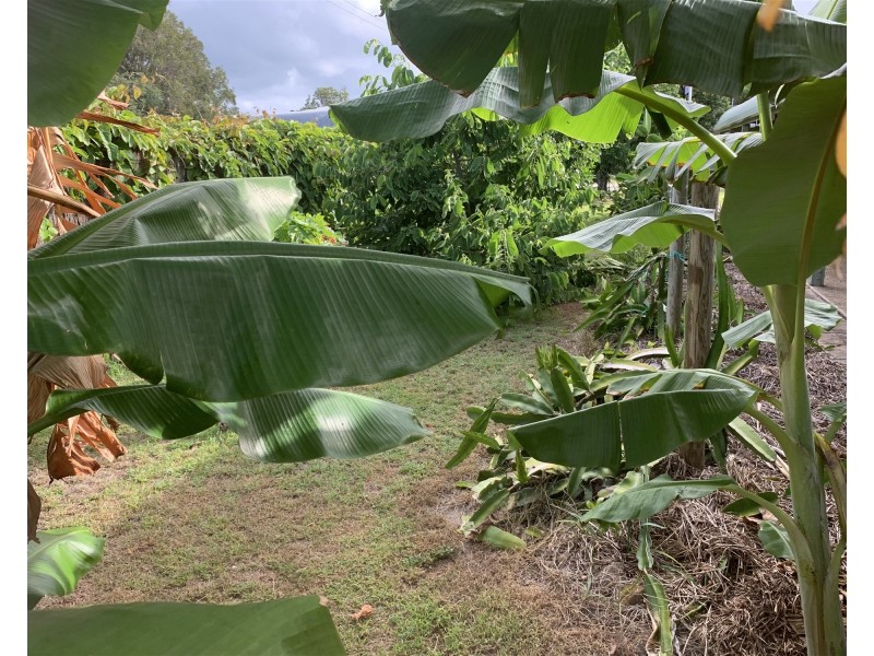 24 Pepperina Court Crn 4th Ave, Woodgate QLD 4660