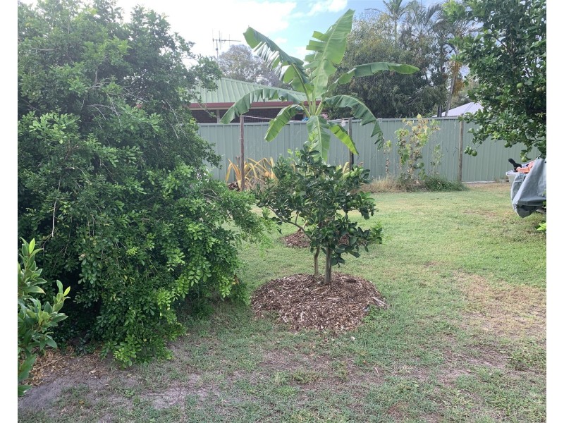 24 Pepperina Court Crn 4th Ave, Woodgate QLD 4660