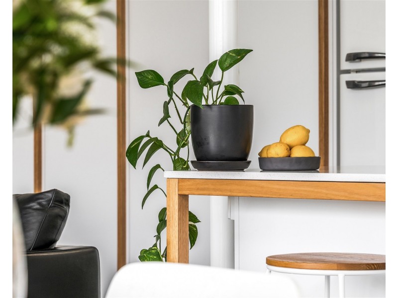 6/12 Browning St, Byron Bay NSW 2481