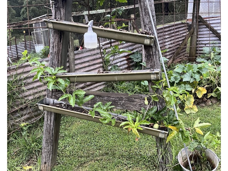 36 Sturgiss road, Nowra NSW 2541