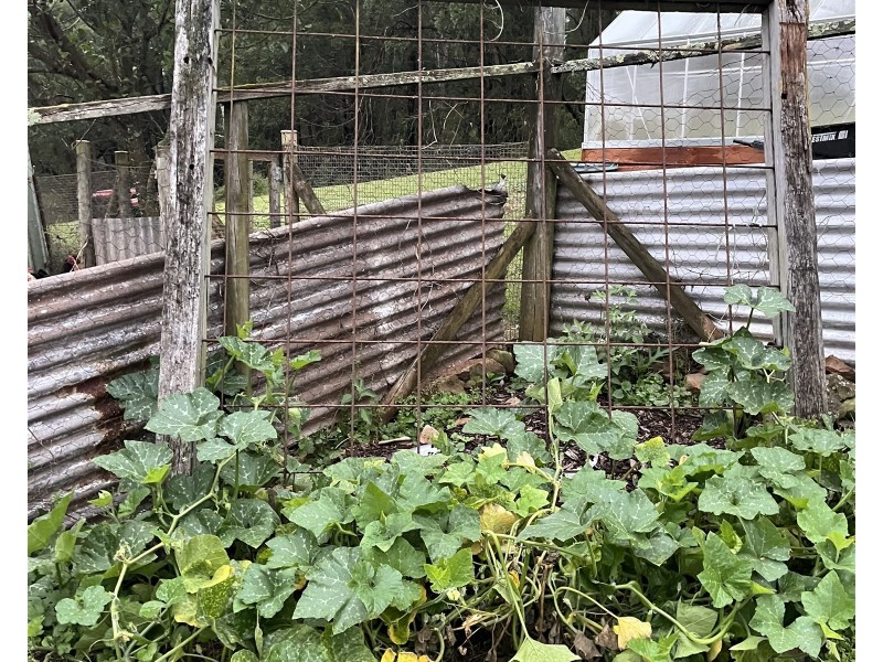 36 Sturgiss road, Nowra NSW 2541