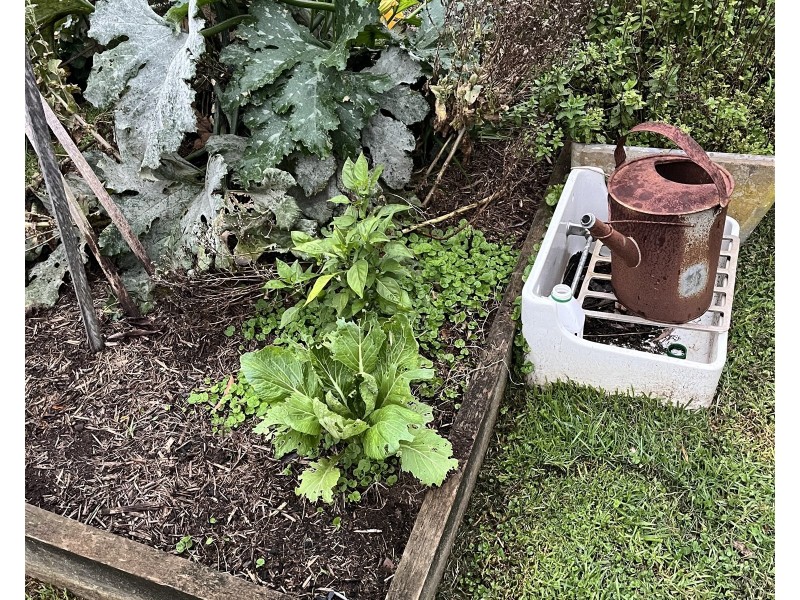 36 Sturgiss road, Nowra NSW 2541