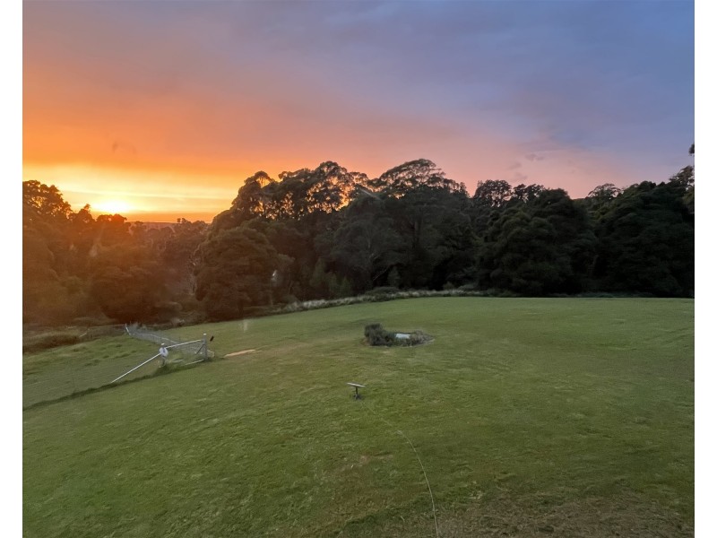 36 Sturgiss road, Nowra NSW 2541