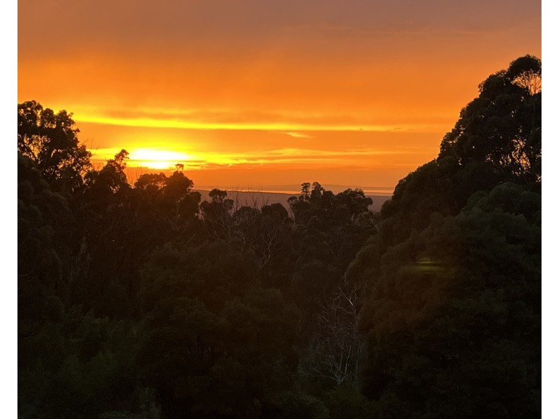 36 Sturgiss road, Nowra NSW 2541