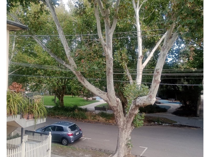 13/15-17  Crimea Street, St Kilda VIC 3182