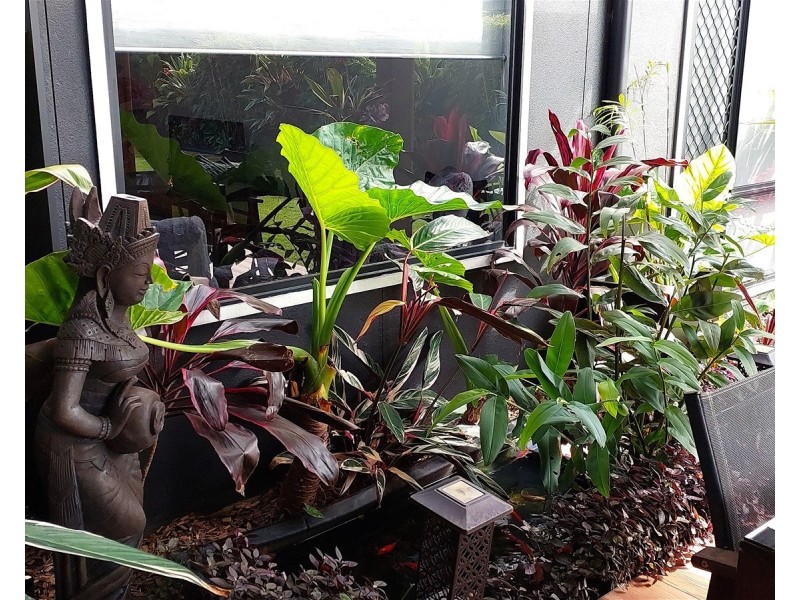 49  O’neill Circuit, Kearneys Spring QLD 4350