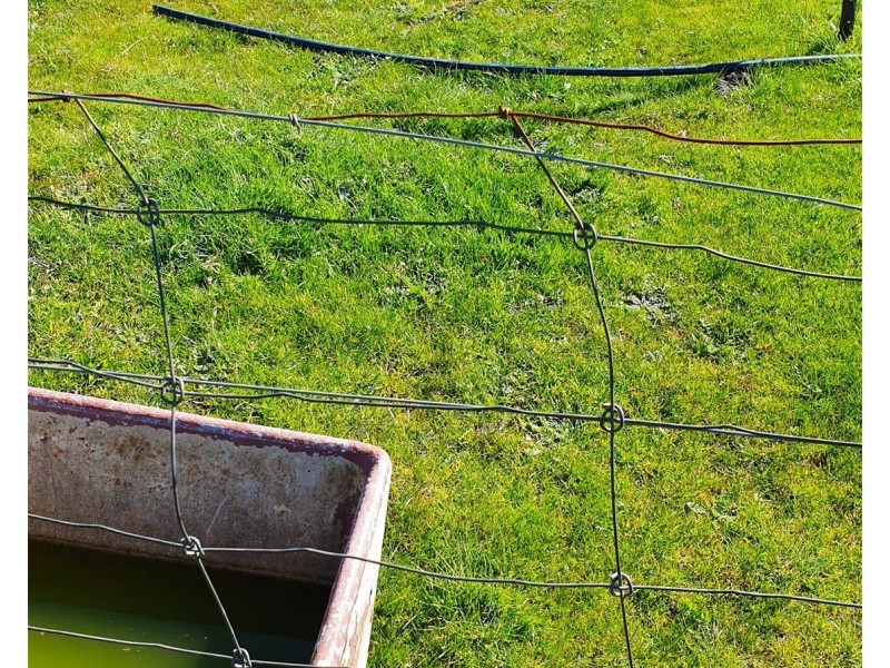 1/51  Petschels Lane, Hamilton VIC 3300