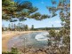 29/97-99 Oaks Avenue, Dee Why NSW 2099