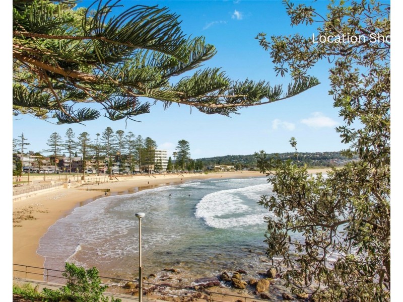 29/97-99 Oaks Avenue, Dee Why NSW 2099