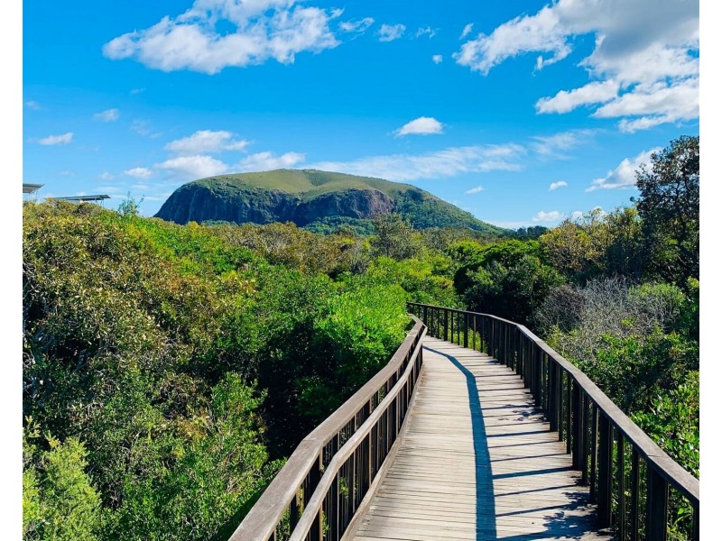 3 Kanimbla Court, Marcoola QLD 4564