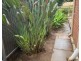 21  Dixon St, Clarence Park SA 5034