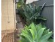 21  Dixon St, Clarence Park SA 5034