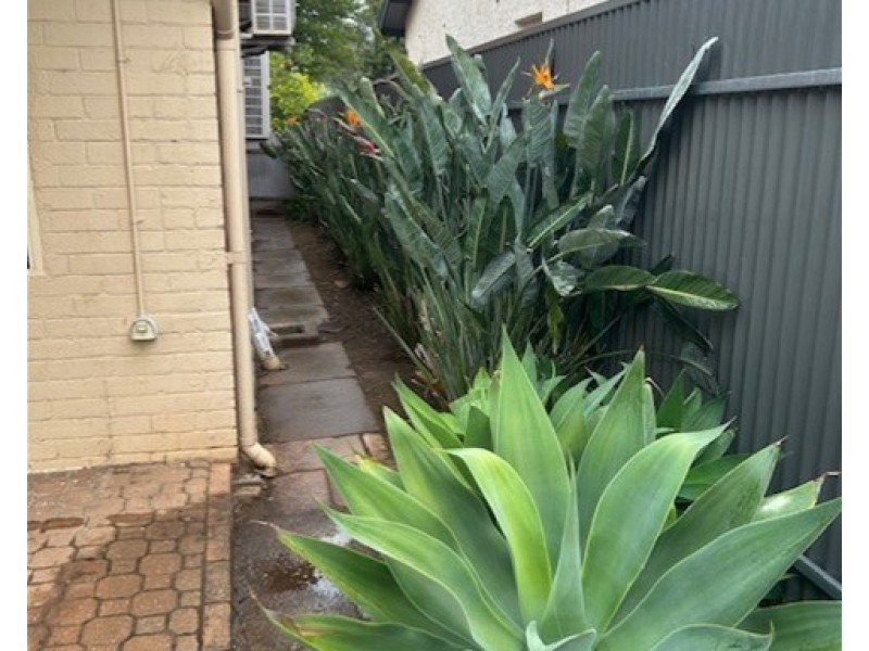21  Dixon St, Clarence Park SA 5034