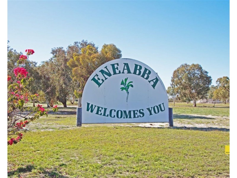 10 Brimson Street, Eneabba WA 6518