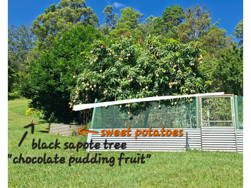 32/265 Martin Road, Larnook NSW 2480