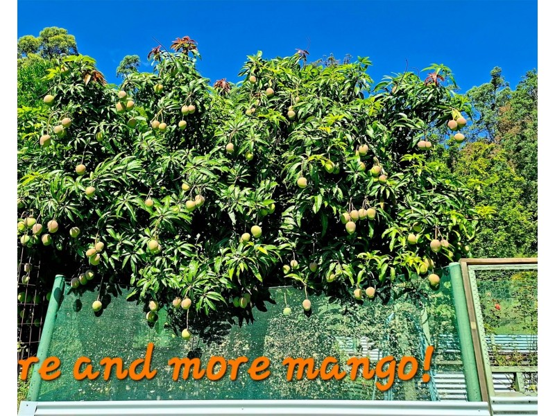 32/265 Martin Road, Larnook NSW 2480