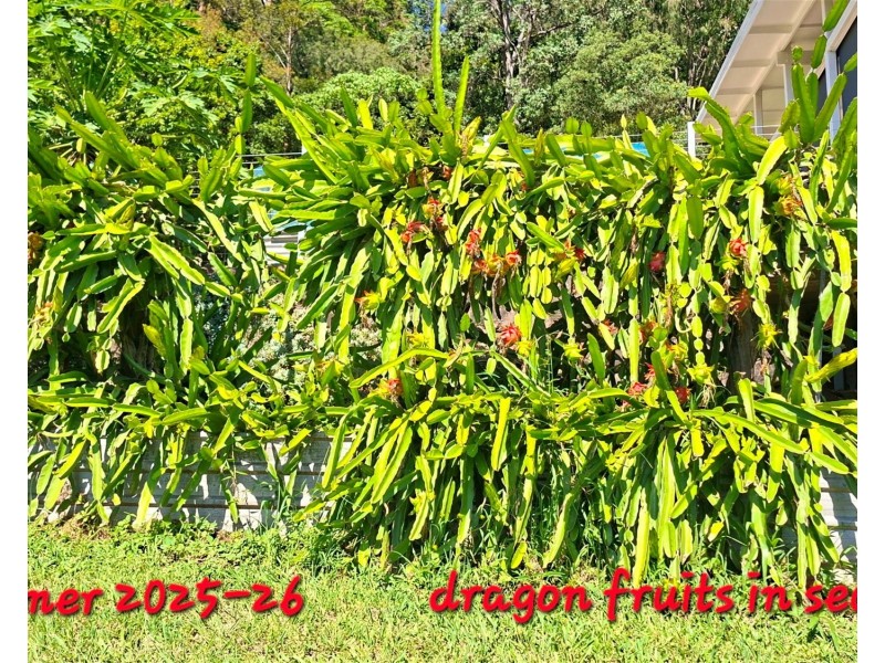 32/265 Martin Road, Larnook NSW 2480