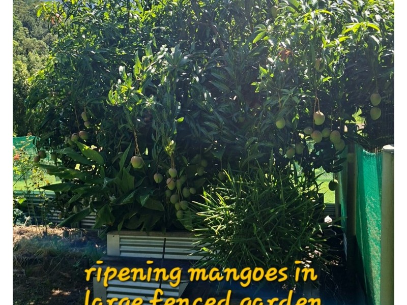 32/265 Martin Road, Larnook NSW 2480