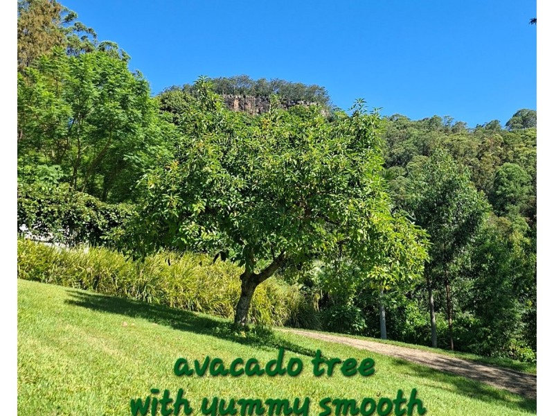 32/265 Martin Road, Larnook NSW 2480