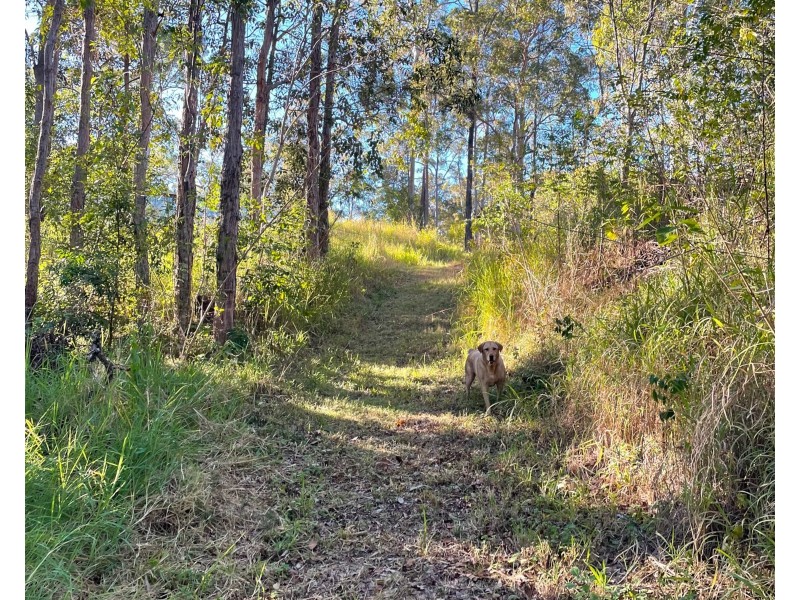 296 Lowe Road, Bollier QLD 4570