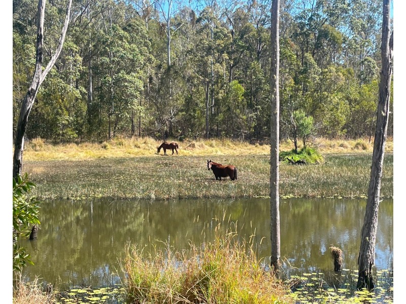 296 Lowe Road, Bollier QLD 4570