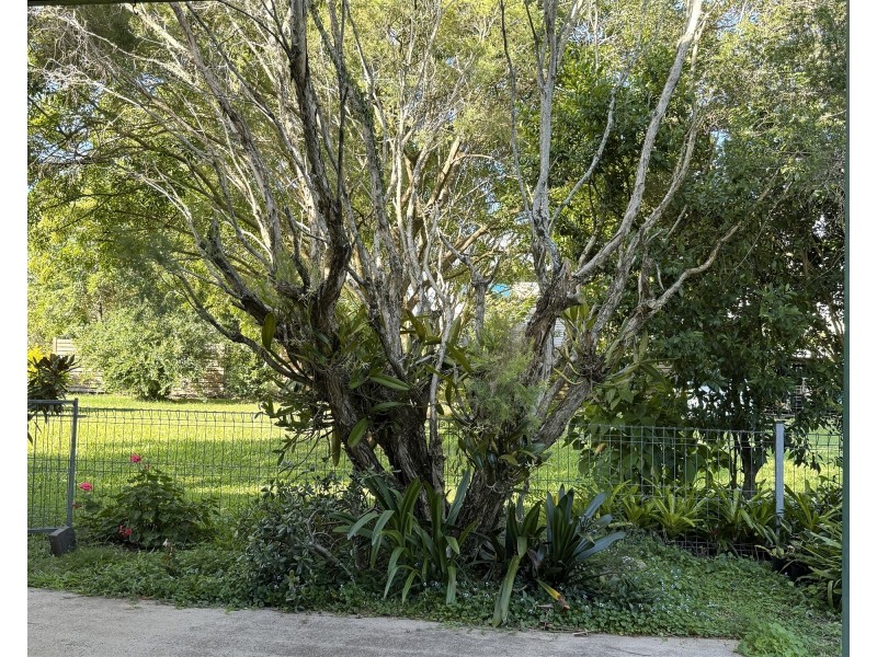 42 Worendo St, Wiangaree NSW 2474