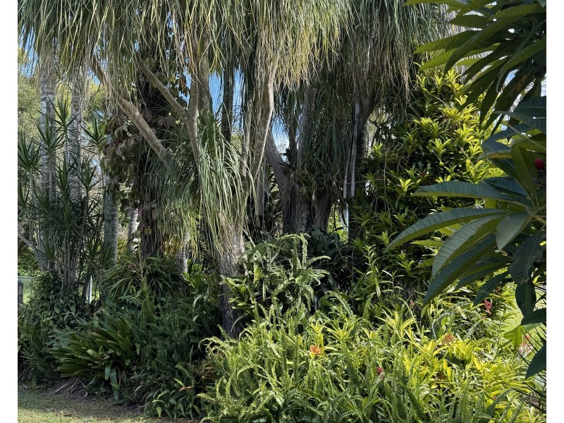 42 Worendo St, Wiangaree NSW 2474