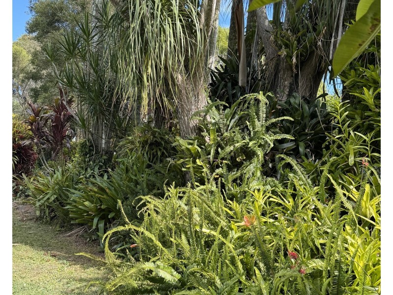 42 Worendo St, Wiangaree NSW 2474