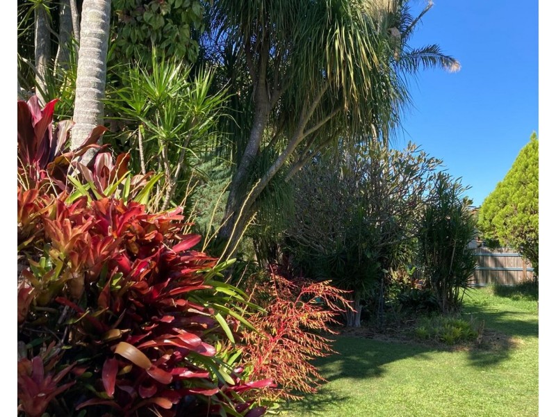 42 Worendo St, Wiangaree NSW 2474