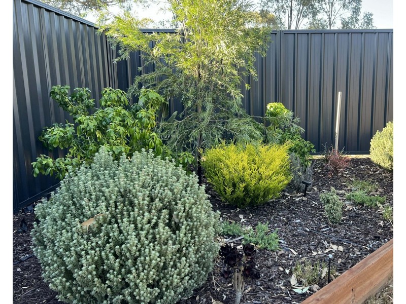 3  Hendricks Close, Yarrawonga VIC 3730
