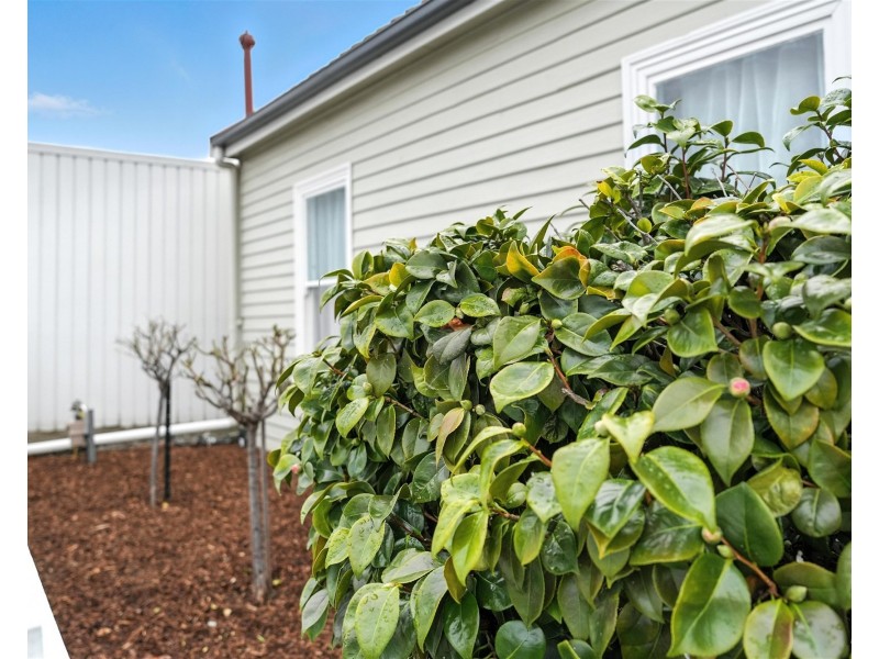 39 Pitt Street, North Hobart TAS 7000