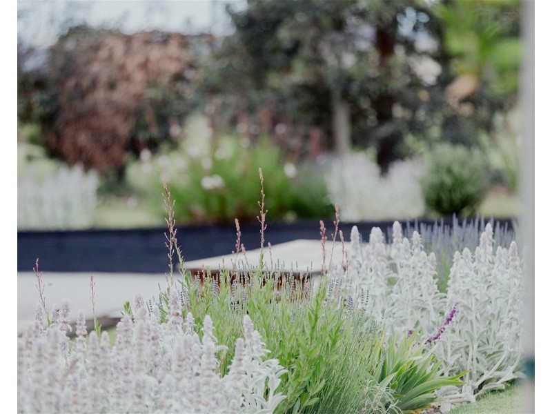 37-41 Heal Street, Ceres VIC 3221