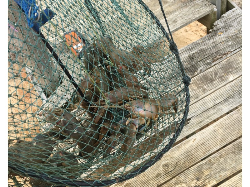 142 Florance Road, Haines SA 5223