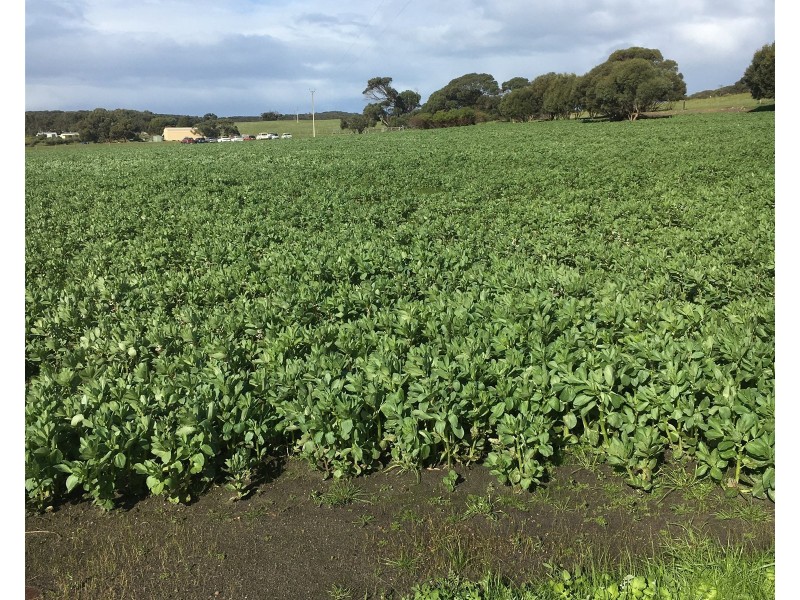 142 Florance Road, Haines SA 5223